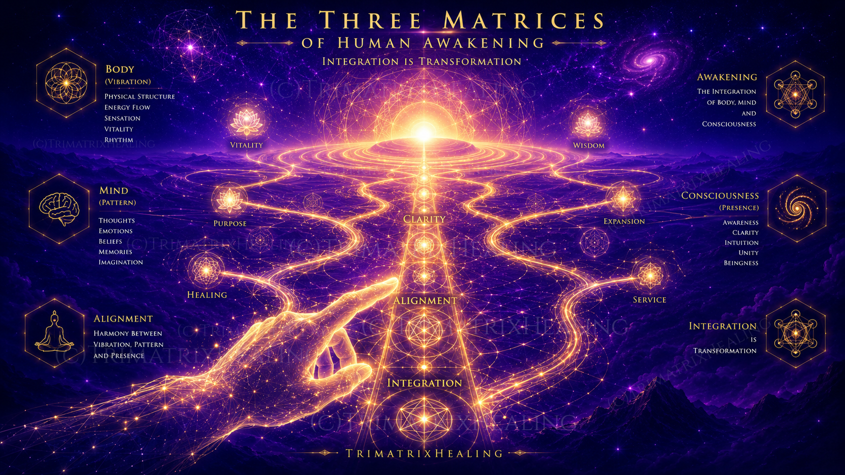 Life Path Readings