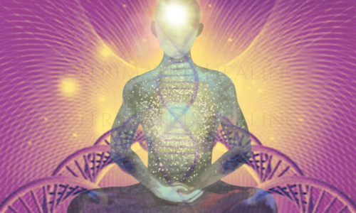 Mindful Reconfiguration